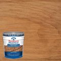 Thompsons WaterSeal Transparent Chestnut Brown Waterproofing Wood Stain and Sealer 5 gal TH.091301-20